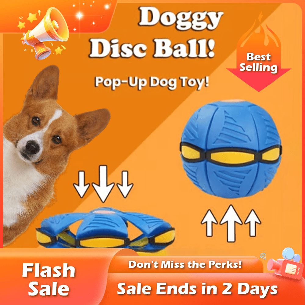 🏆Flash Sale⚡ 50K+ SOLD! Almost Gone-💥💥The Doggy Disc Ball💞,Best Gifts(Suitable for small dogs)